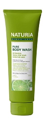 Гель для душа с ароматом дикая мята и лайм, NATURIA, Pure Body Wash (Wild Mint & Lime), 100 мл