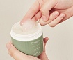 Успокаивающий крем для лица с растительными экстрактами (100 мл), Evas Fraijour Original Herb Wormwood Calming Watery Cream