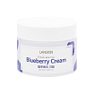 Крем для лица питательный с голубикой, LanSkin blueberry cream
